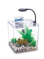 NUBIOS NUBIOS Desktop Betta Bowl-Square