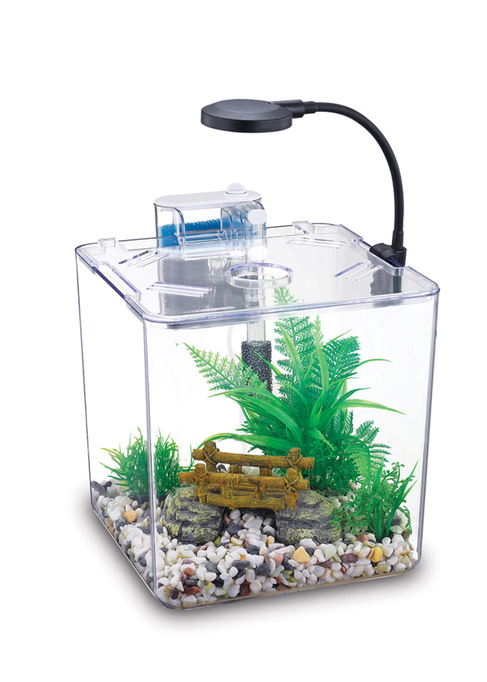 NUBIOS NUBIOS Desktop Betta Bowl-Square
