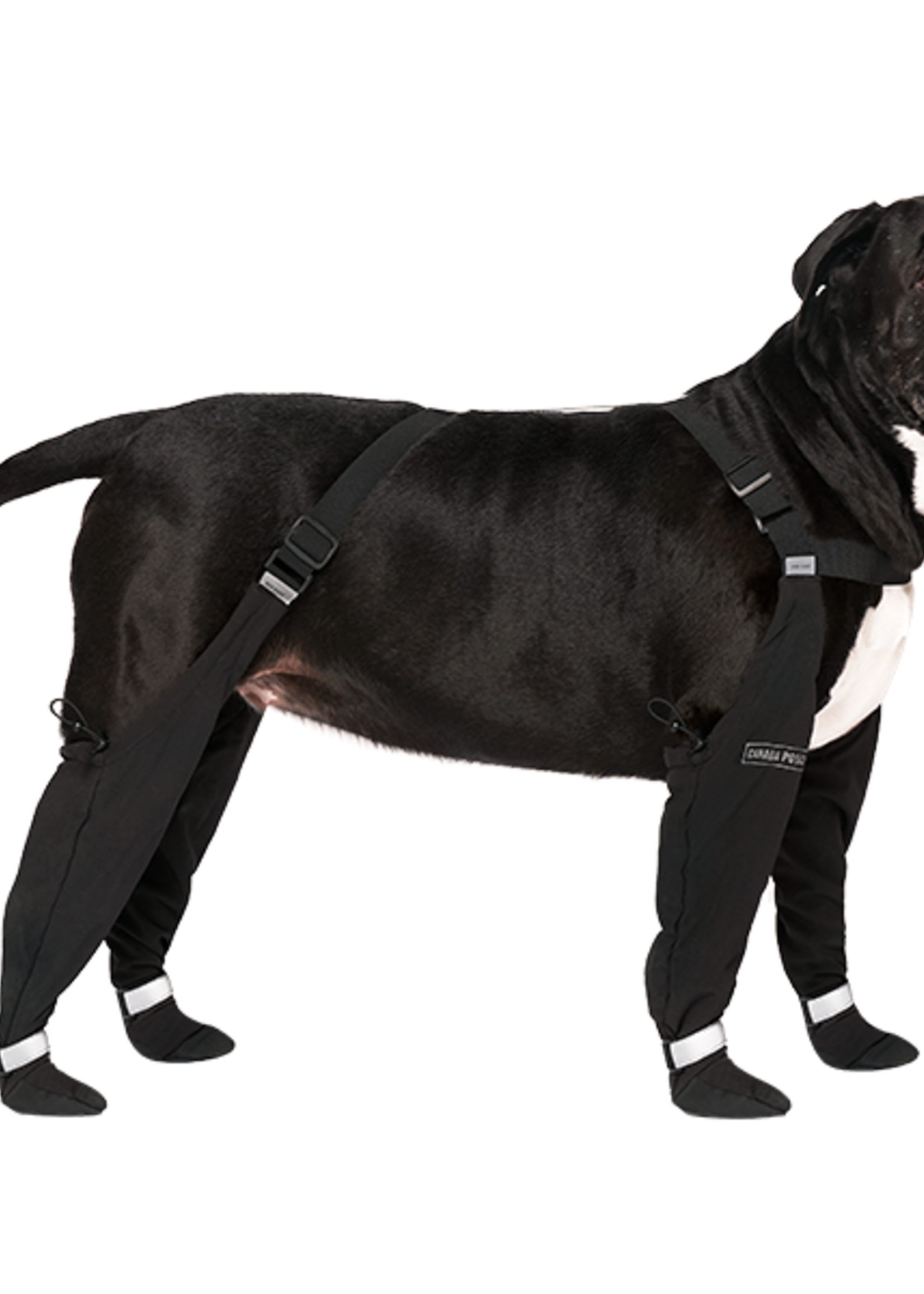 Canada Pooch Suspender Boots Black Size 3 Short