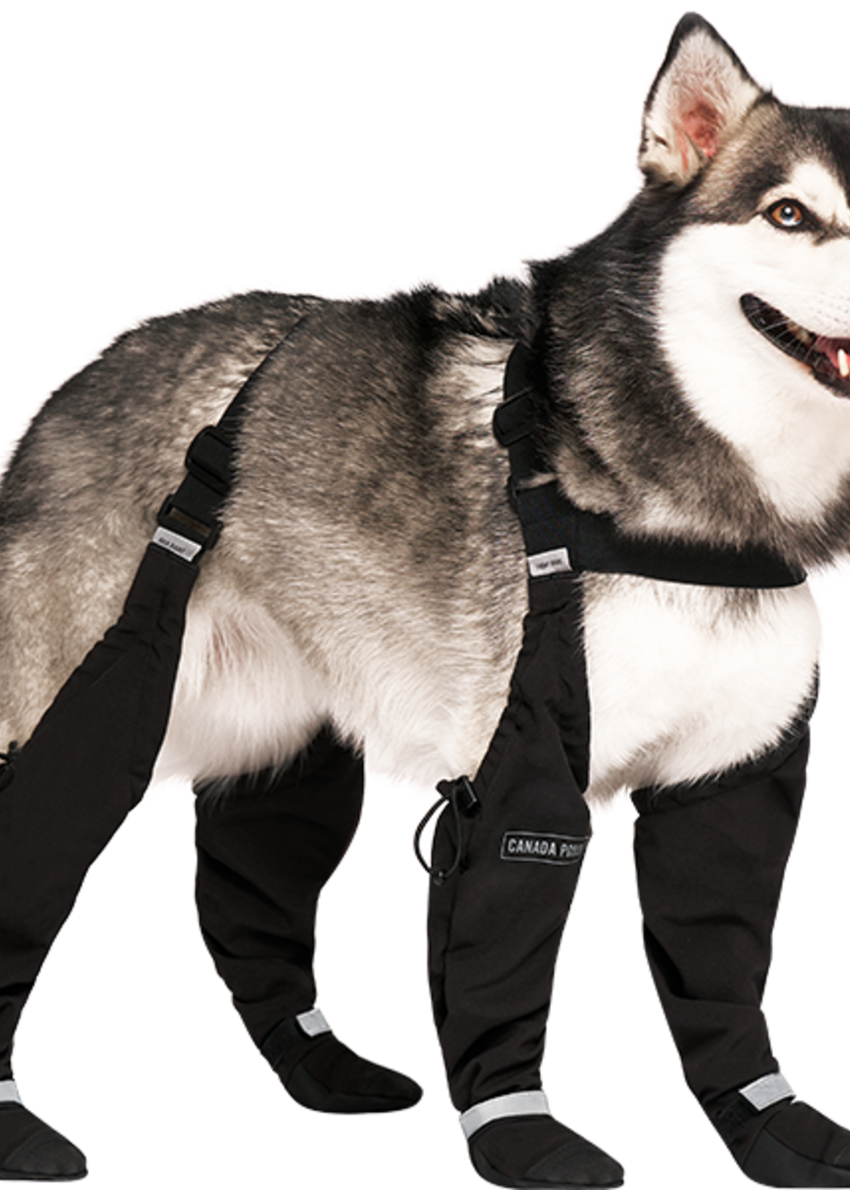 Canada Pooch Suspender Boots Black Size 2 Short