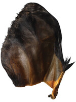 QT Dog QT DOG Water Buffalo Ear with Hair