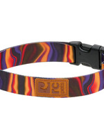 RC Pets Eco Clip Collar Cosmic Aura L