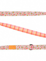RC Pets Eco Leash 3/4" x 5' Daisy Joy