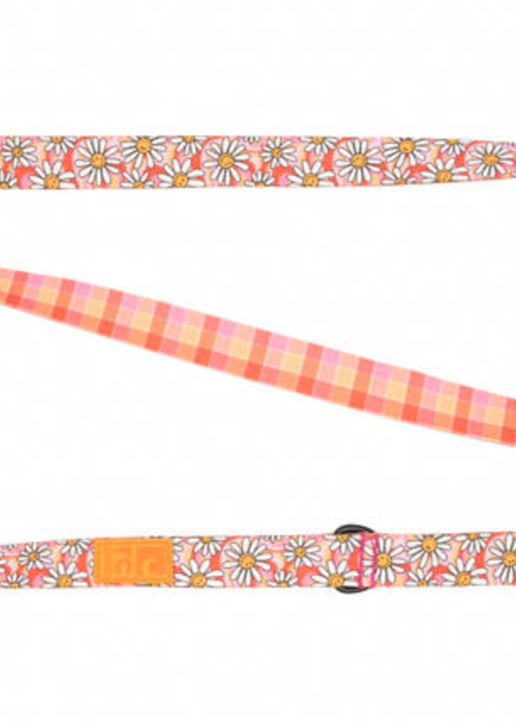 RC Pets Eco Leash 3/4" x 5' Daisy Joy