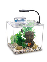 NUBIOS NUBIOS Desktop Betta Bowl-Square 12L