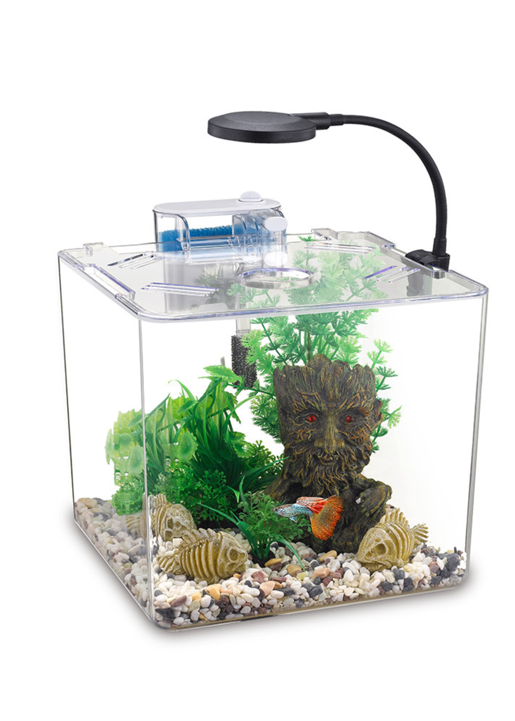 NUBIOS NUBIOS Desktop Betta Bowl-Square 12L