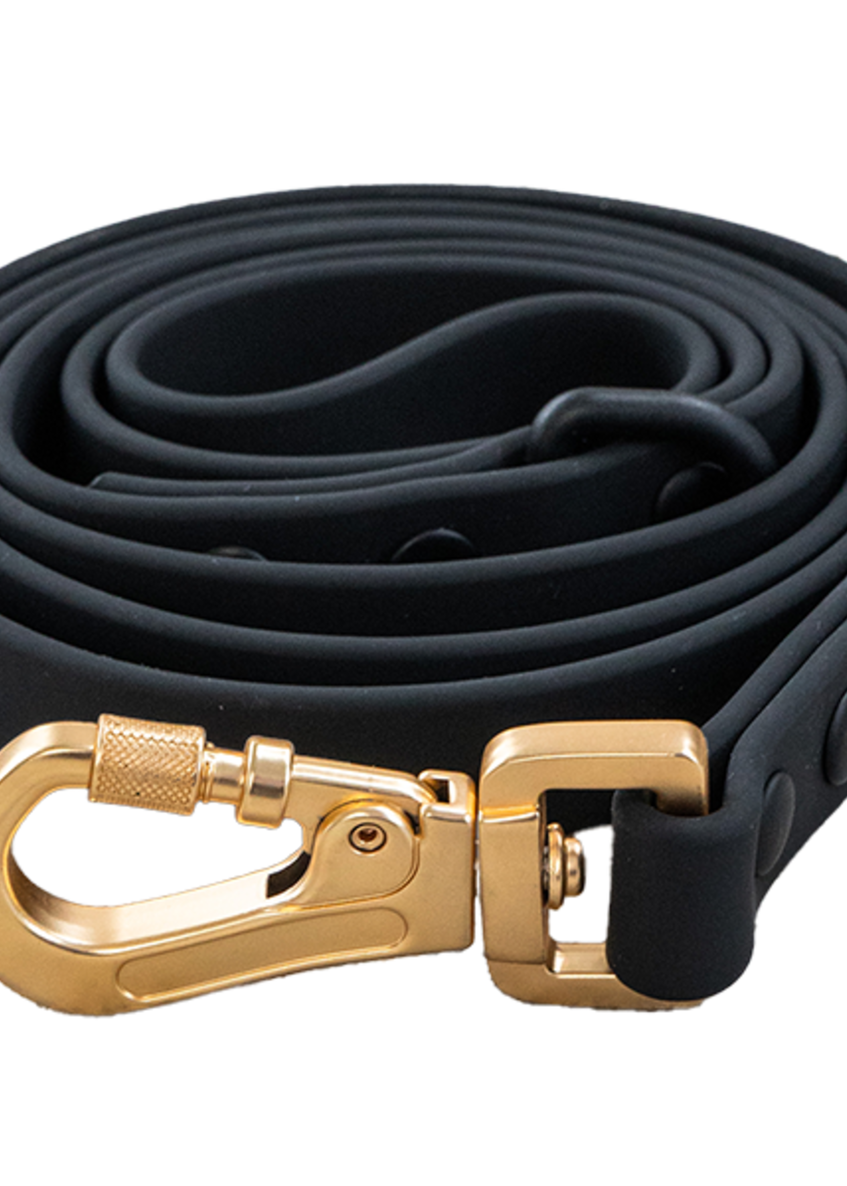 DexyPaws Dexypaws Dog Waterproof Leash Black 5'