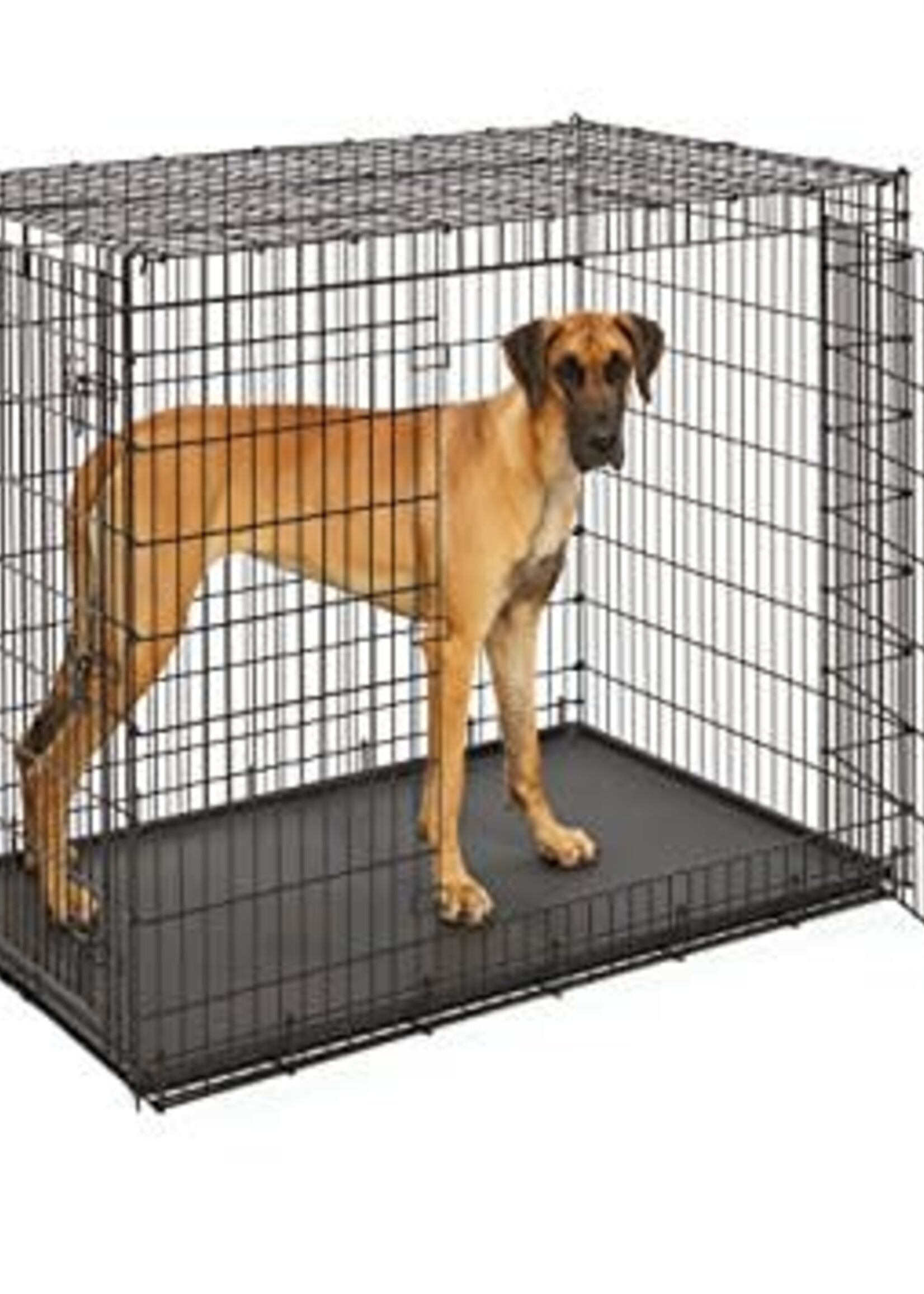 2 Door Wire Crate  Extra Large 42x27.5x30"