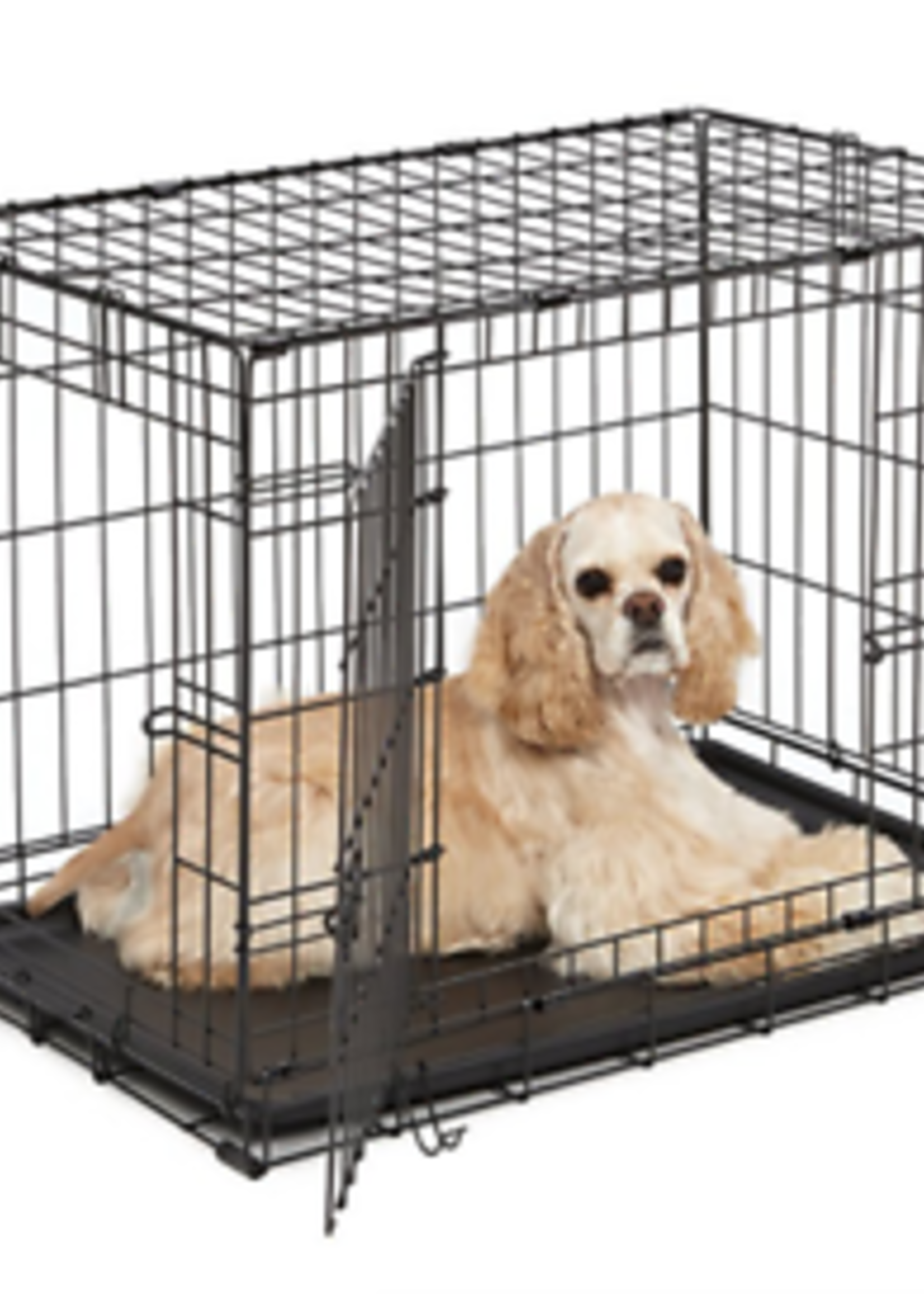 2 Door Wire Crate  Medium 30x19x21.5"