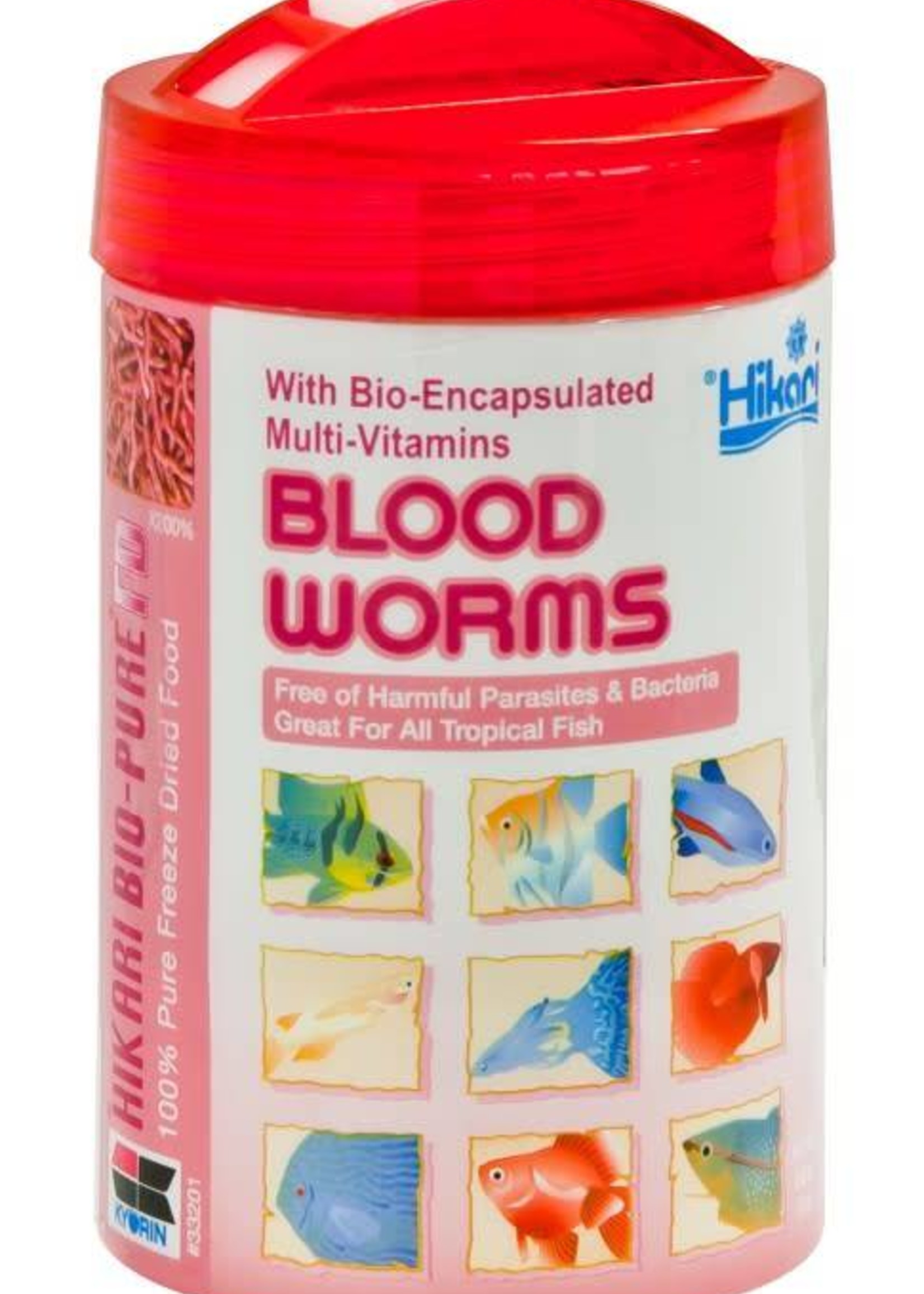 FD Blood Worms .42oz