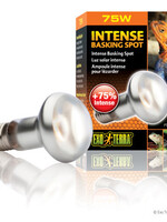Exo Terra Intense Basking Spot Lamp, 75W