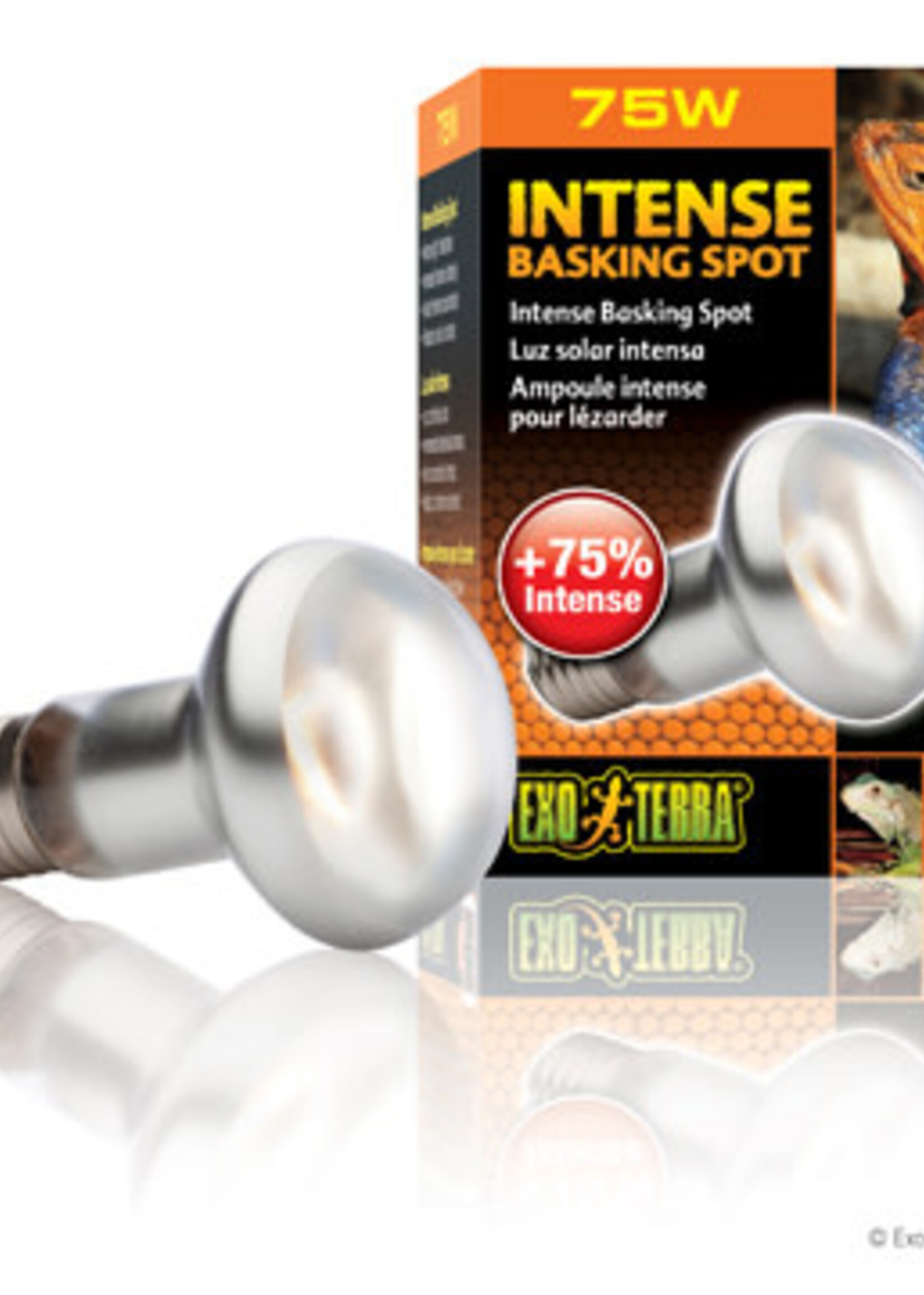 Exo Terra Intense Basking Spot Lamp, 75W