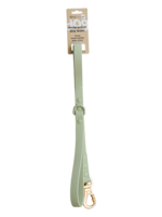 DexyPaws Dexypaws Dog Waterproof Leash Sage Green 5'