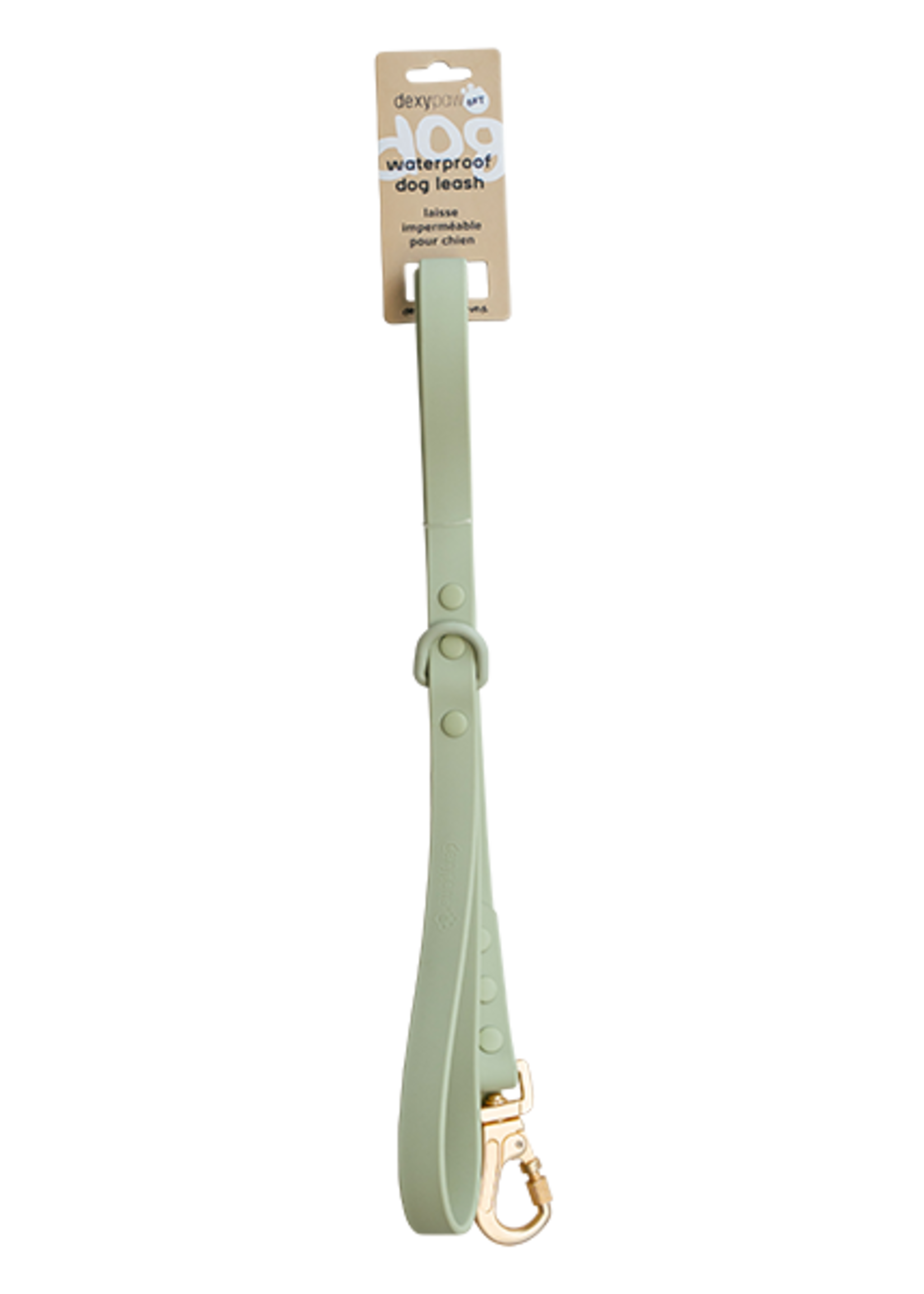 DexyPaws Dexypaws Dog Waterproof Leash Sage Green 5'