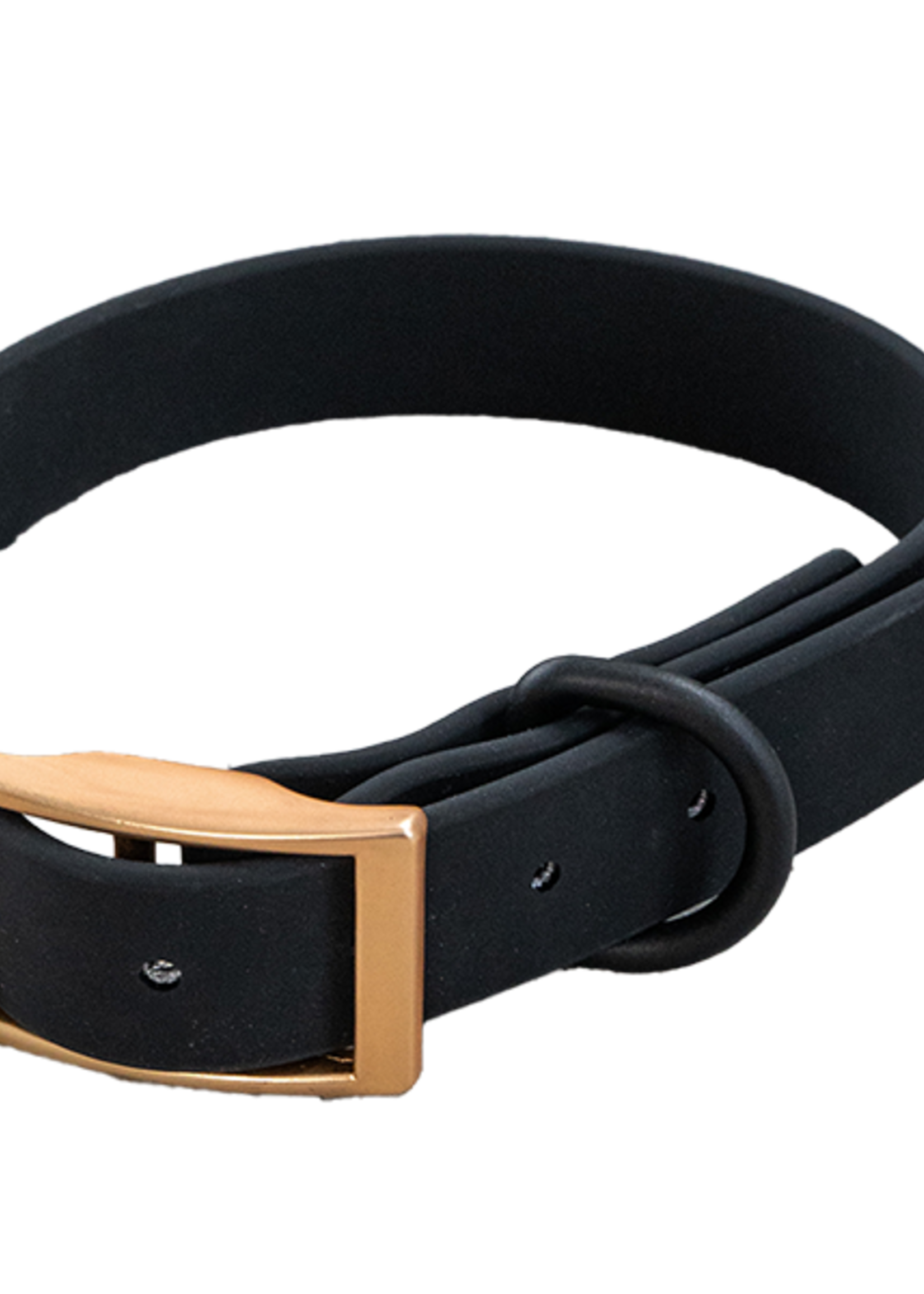 DexyPaws Dexypaws Dog Waterproof Collar Black Small 3/4x8-11"