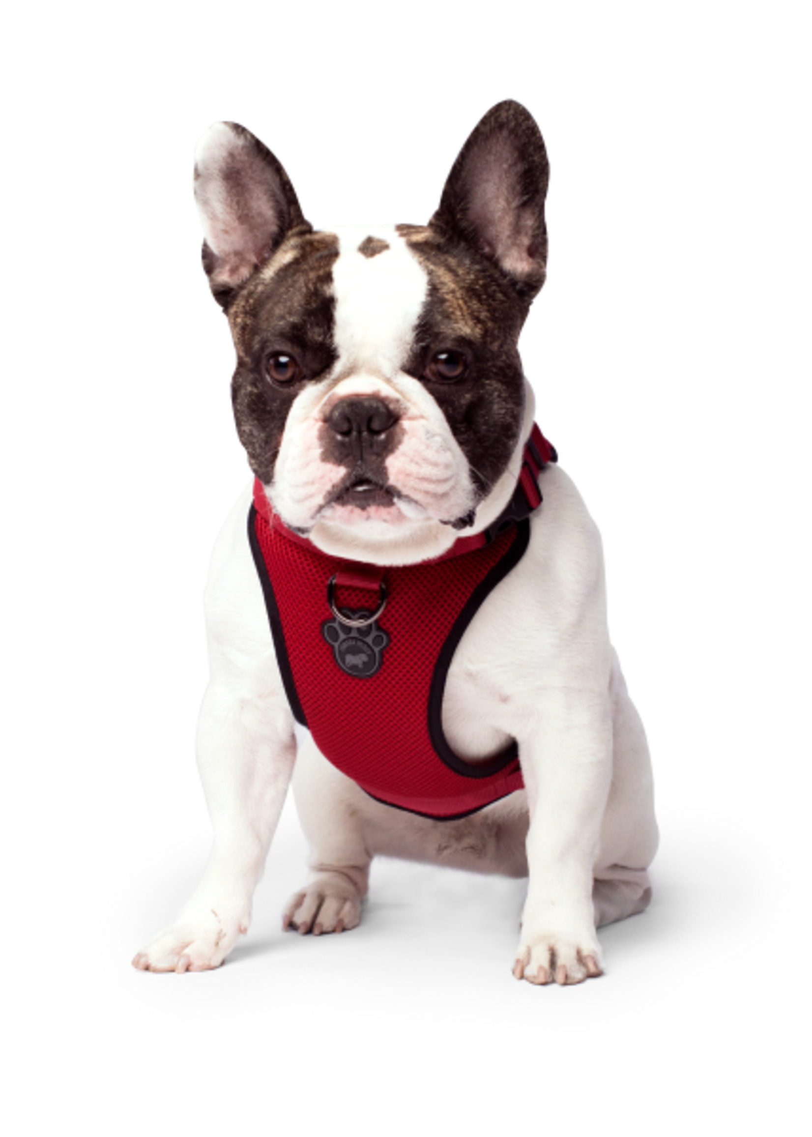 Canada Pooch Core Everything Harness Mesh Red XL