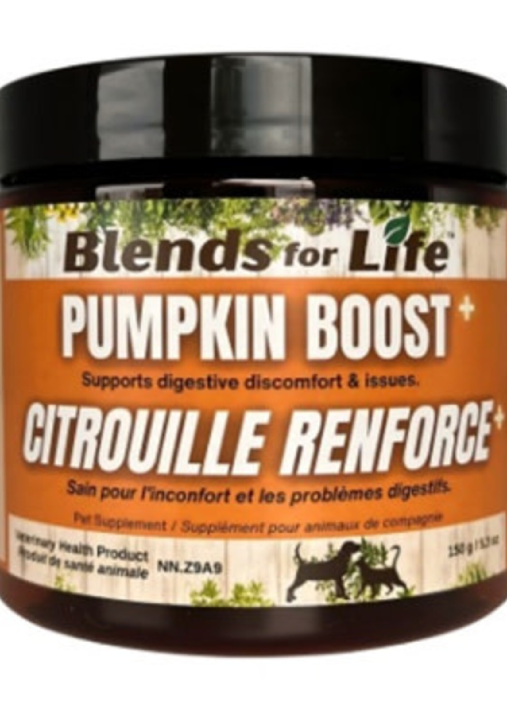 Blends For Life BlendsForLife Pumpkin Boost+ 150g