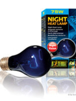 Exo Terra Night Heat Lamp - A19 / 75 W