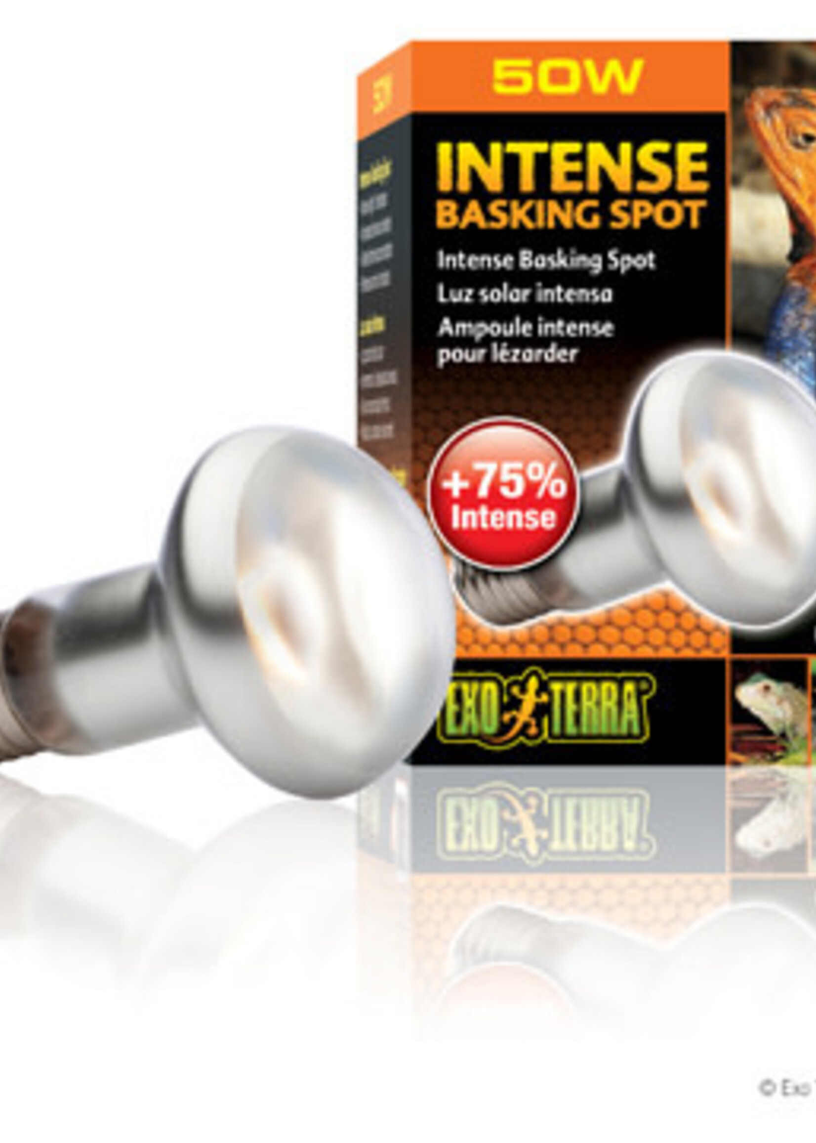 Exo Terra Intense Basking Spot - S20 / 50W