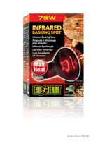 Exo Terra Infrared Basking Spot - R20 / 75W