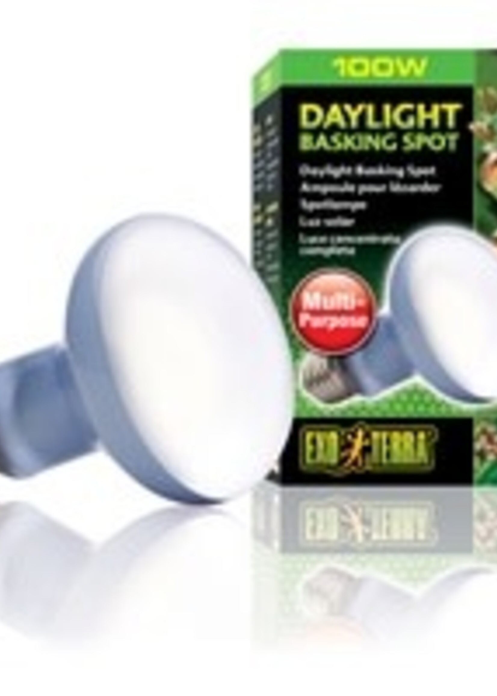 Exo Terra Daylight Basking Spot Lamp, 100W
