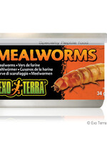 Exo Terra Canned Meal Worms, 1.2 oz