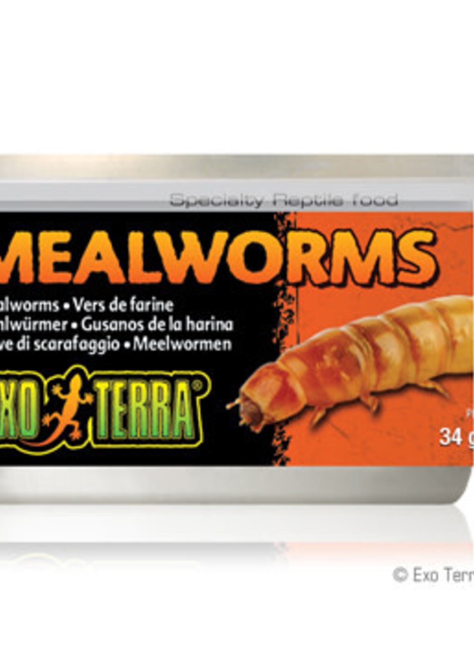 Exo Terra Canned Meal Worms, 1.2 oz