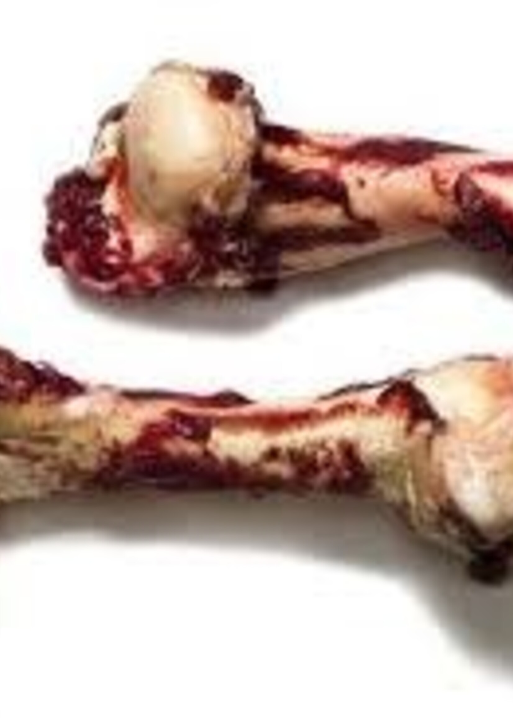 Dogs Choice Dogs Choice - Dino Bone