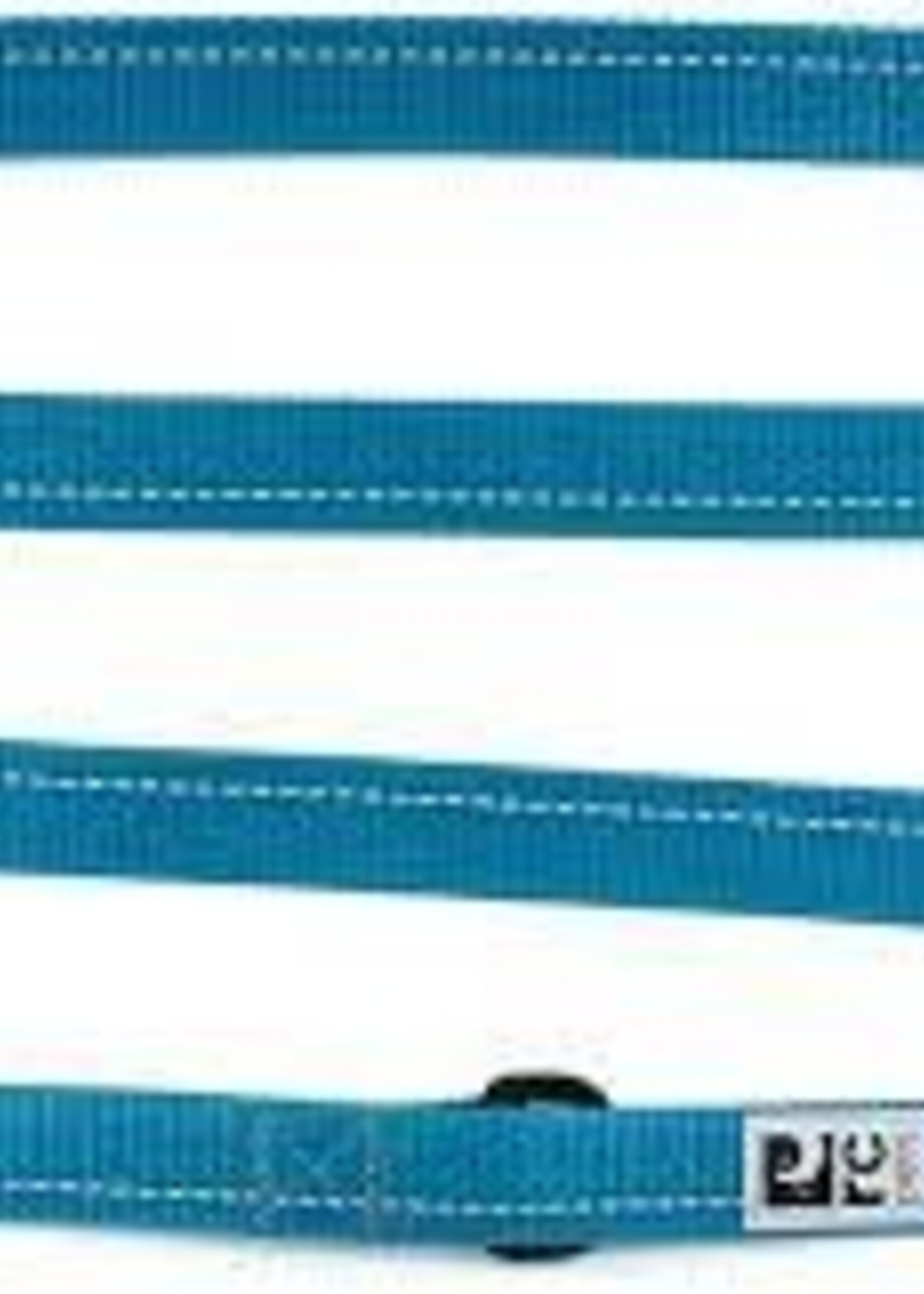RC Pets Primary Dog Leash - 1"x6' foot  Dark Teal