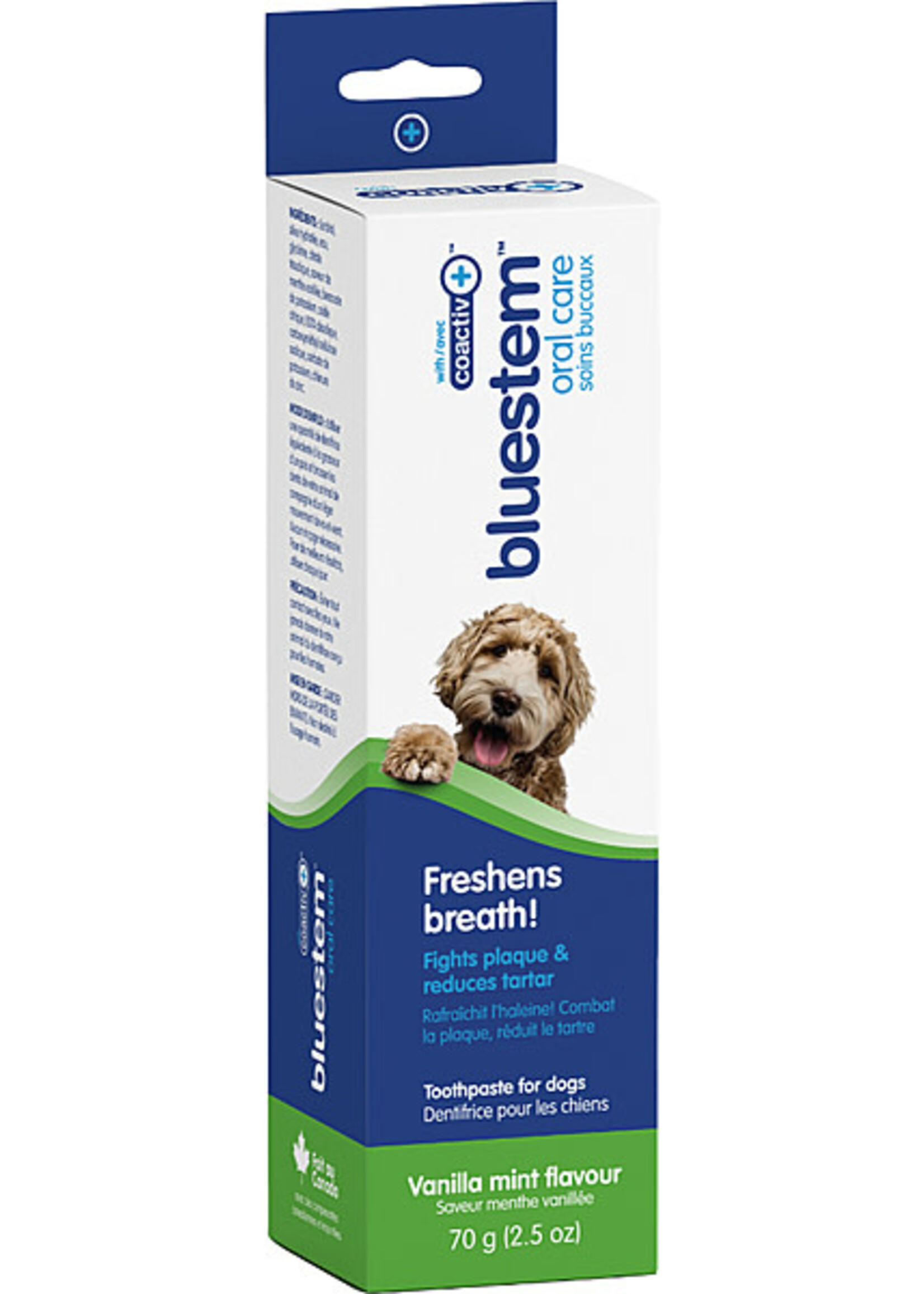 BLUESTEM Toothpaste Vanilla Mint 70G