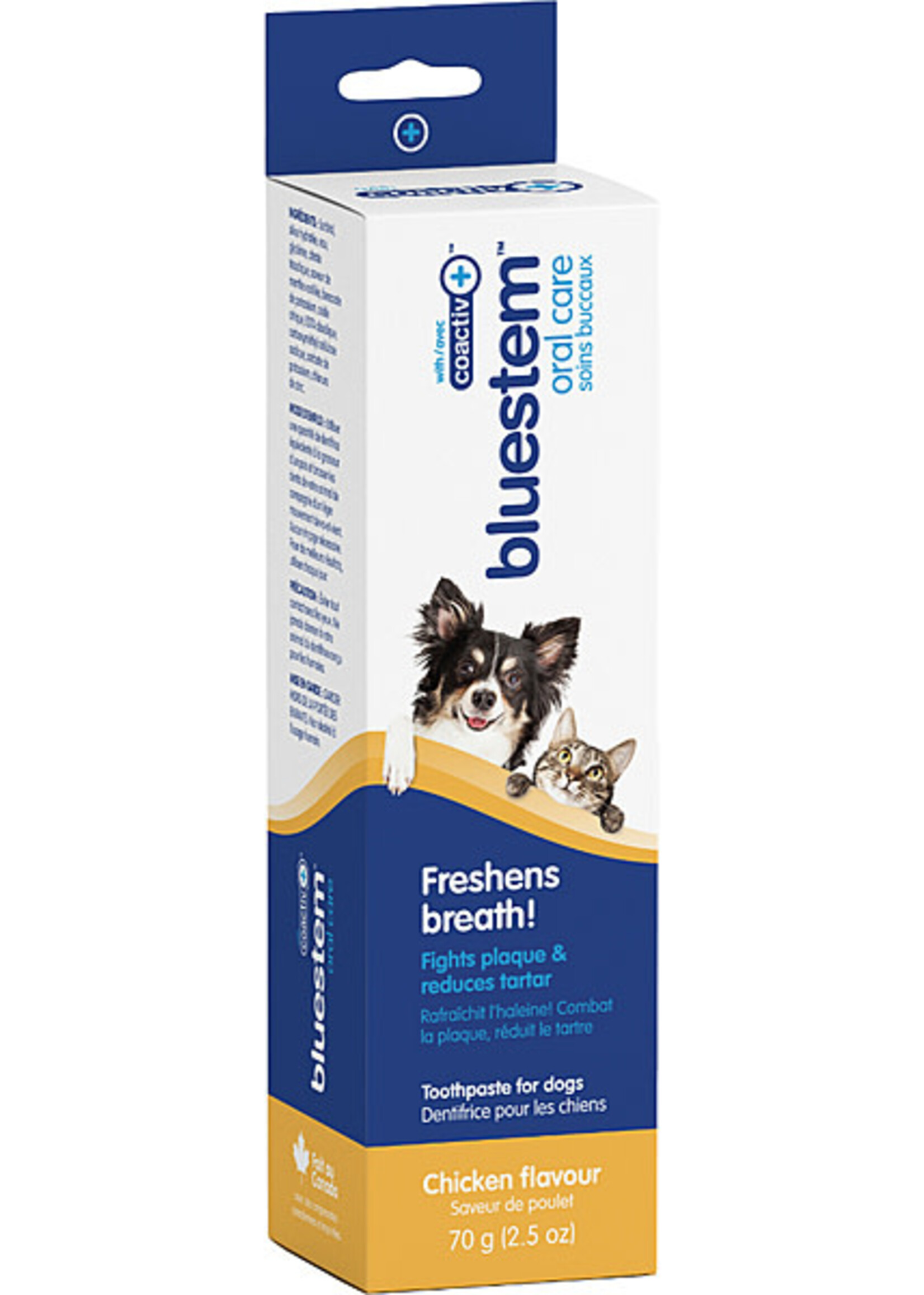 BLUESTEM Toothpaste Chicken 70G | Dog & Cat - Discontinued