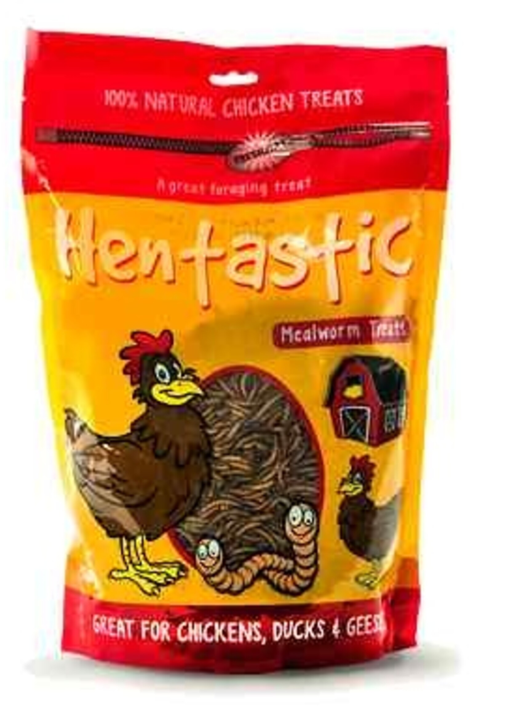 Hentastic Hentastic Chicken Treats with Mealworm, Oregano, Mint and Tumeric -