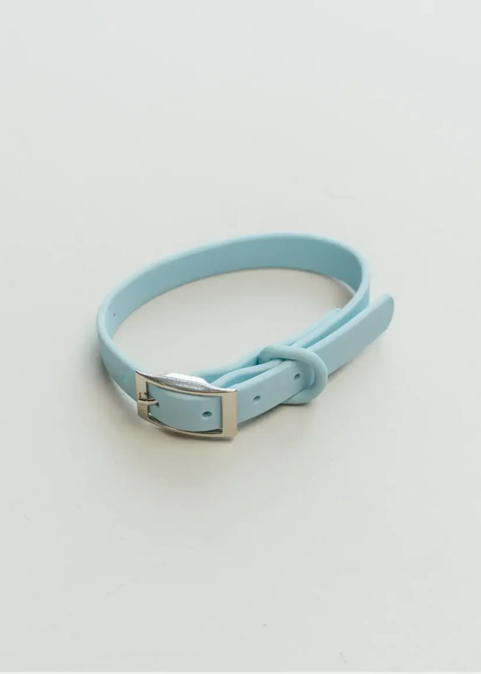 DexyPaws Dexypaws Dog Waterproof Collar Sky Blue Large 3/4x14-17"