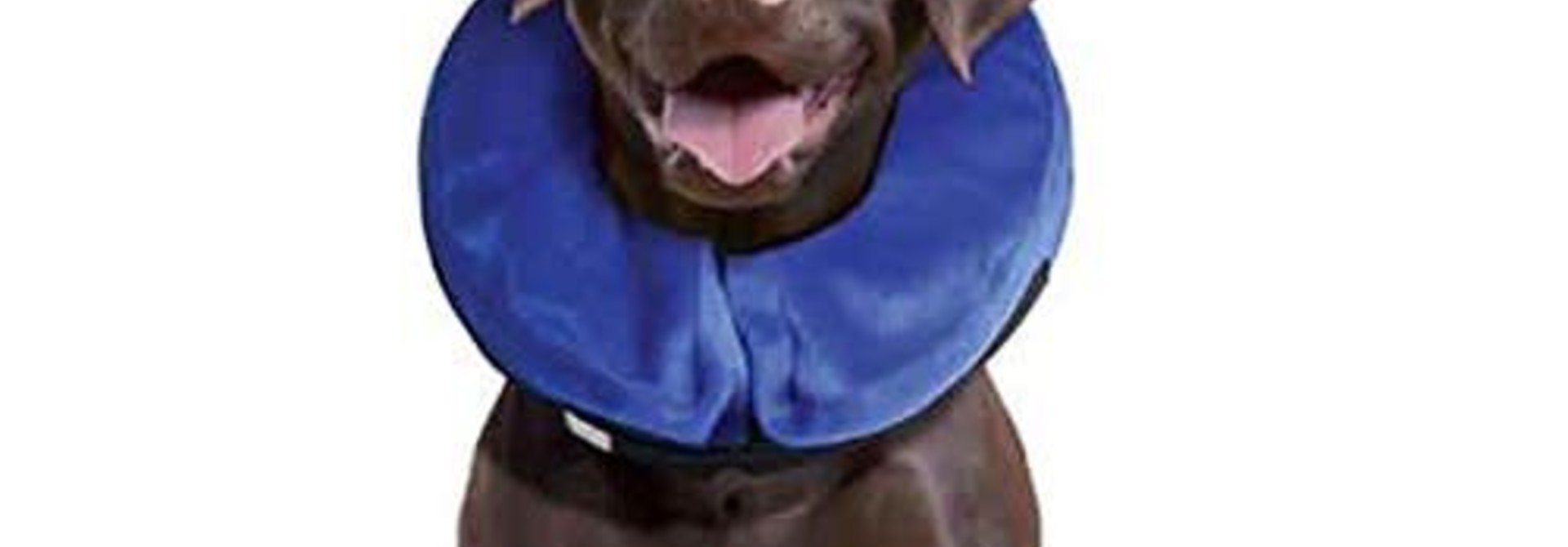 Kong Cloud Collar Large 13-18in neck