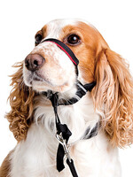 Halti Optifit Head Collar Small
