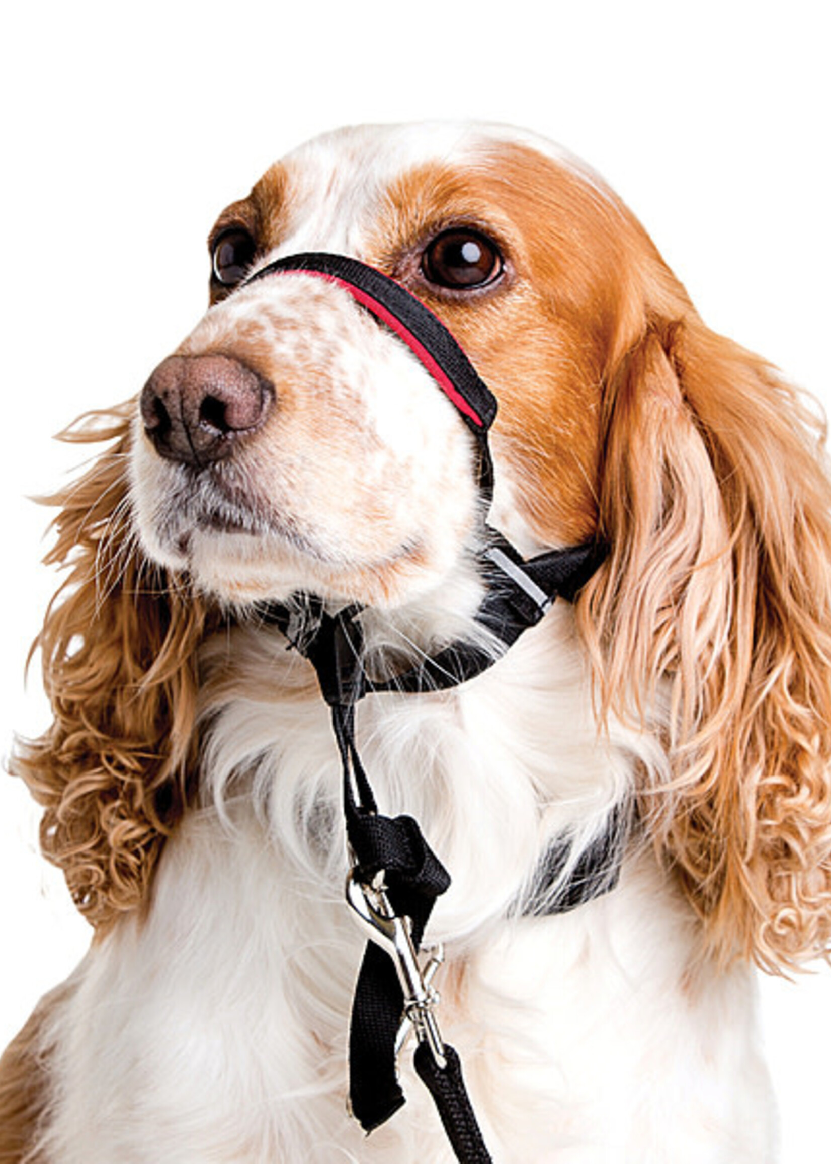 Halti Optifit Head Collar Small