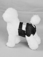 Pawise PAWISE Black Disposable Diapers - 12pk -  Small