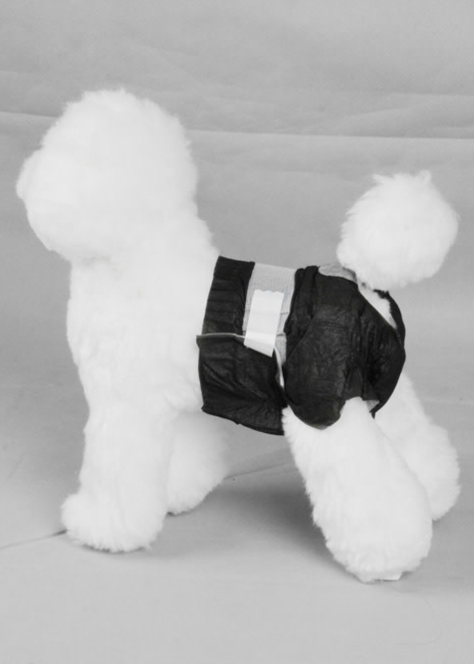 Pawise PAWISE Black Disposable Diapers - 12pk XL