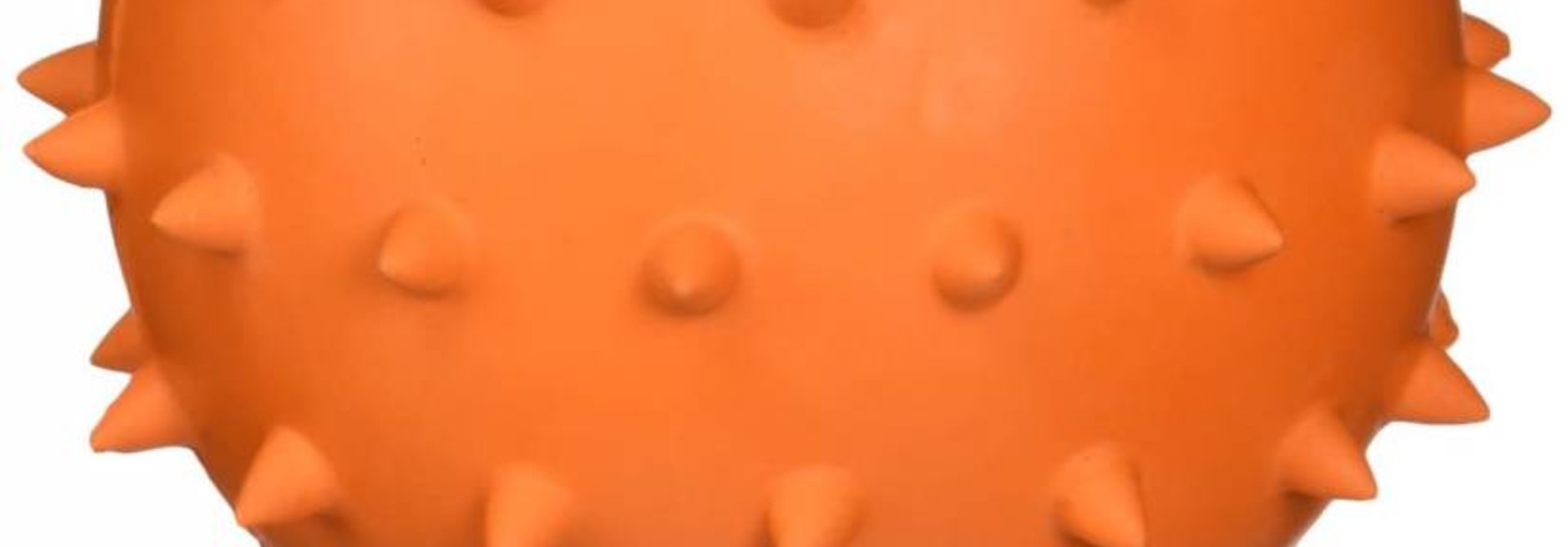 Lge Rub.Spiky Cuz