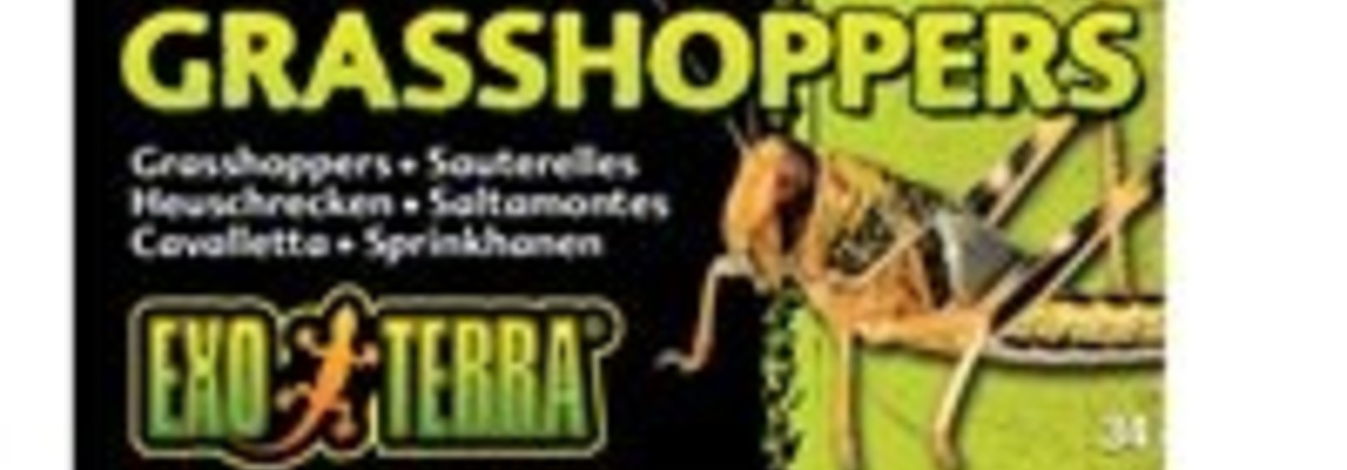 Exo Terra Canned Grasshoppers - 34 g (1.2 oz)
