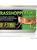 Exo Terra Canned Grasshoppers - XL - 34 g (1.2 oz)