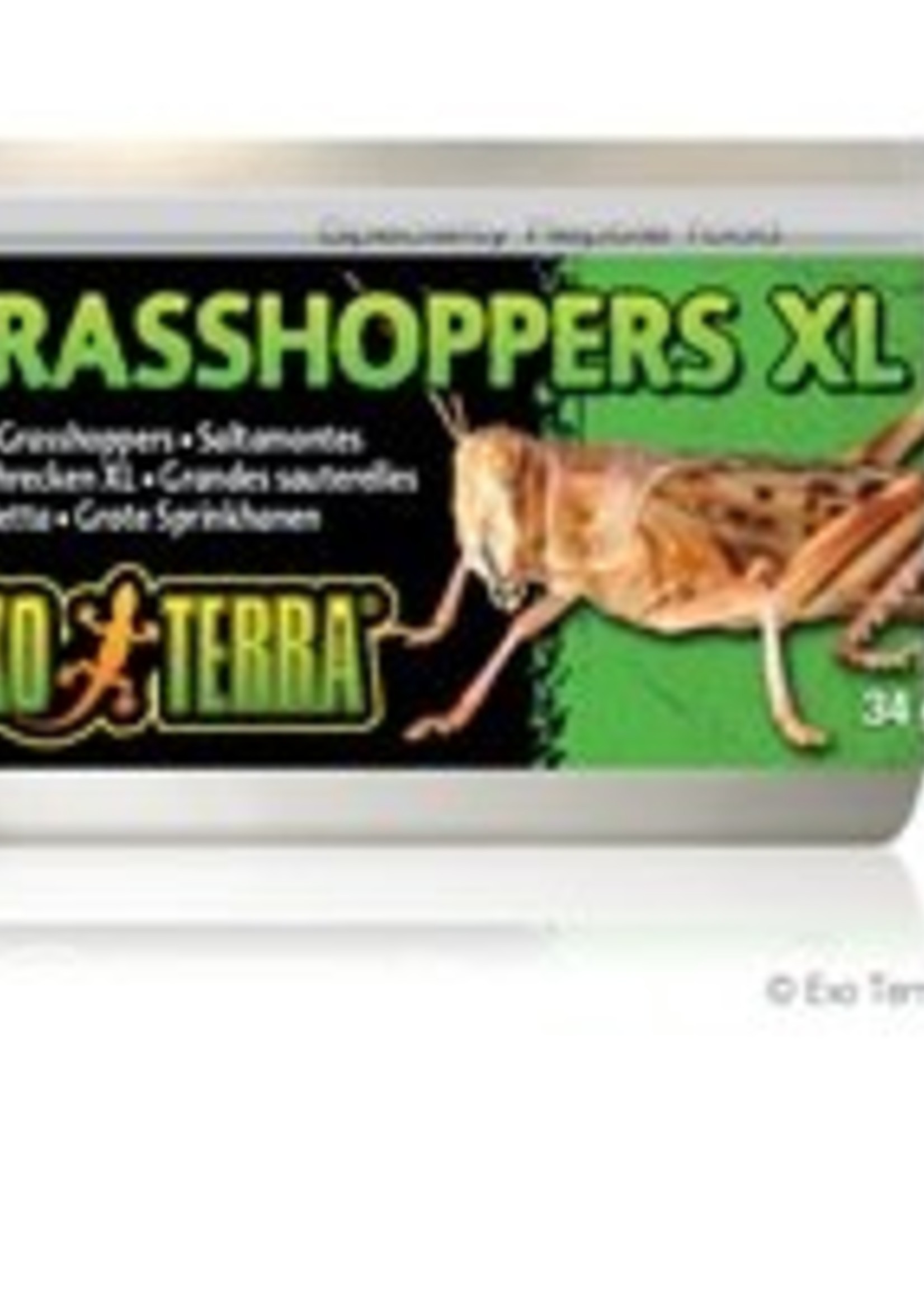 Exo Terra Canned Grasshoppers - XL - 34 g (1.2 oz)