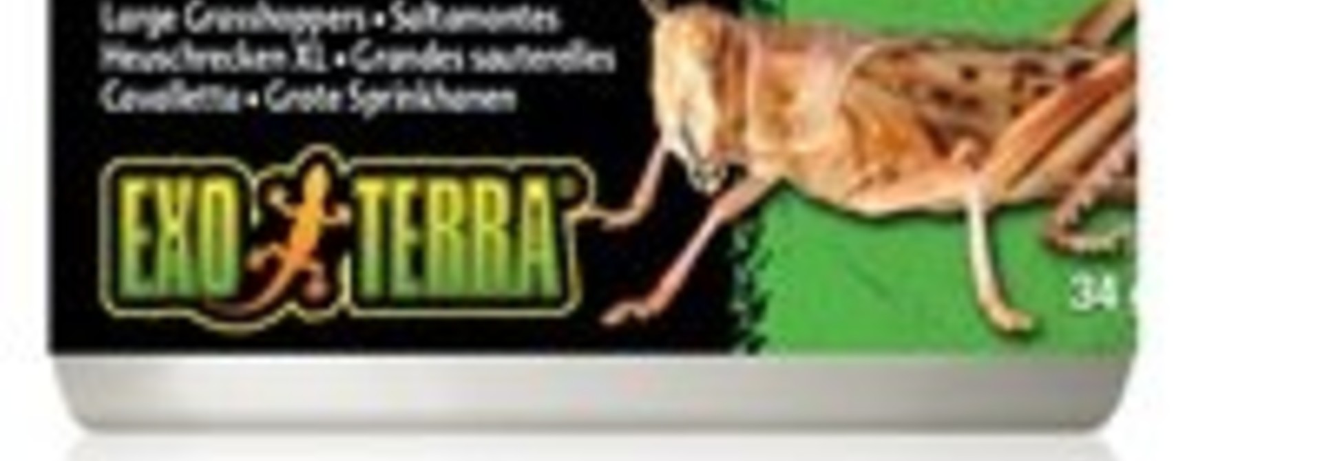Exo Terra Canned Grasshoppers - XL - 34 g (1.2 oz)