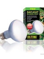 Exo Terra Daylight Basking Spot Lamp - R20 / 75 W