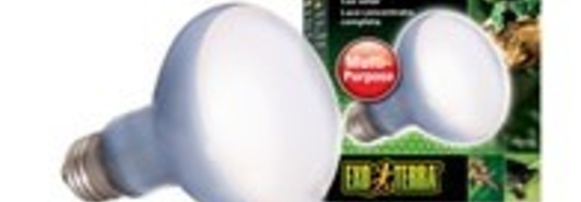 Exo Terra Daylight Basking Spot Lamp - R20 / 75 W