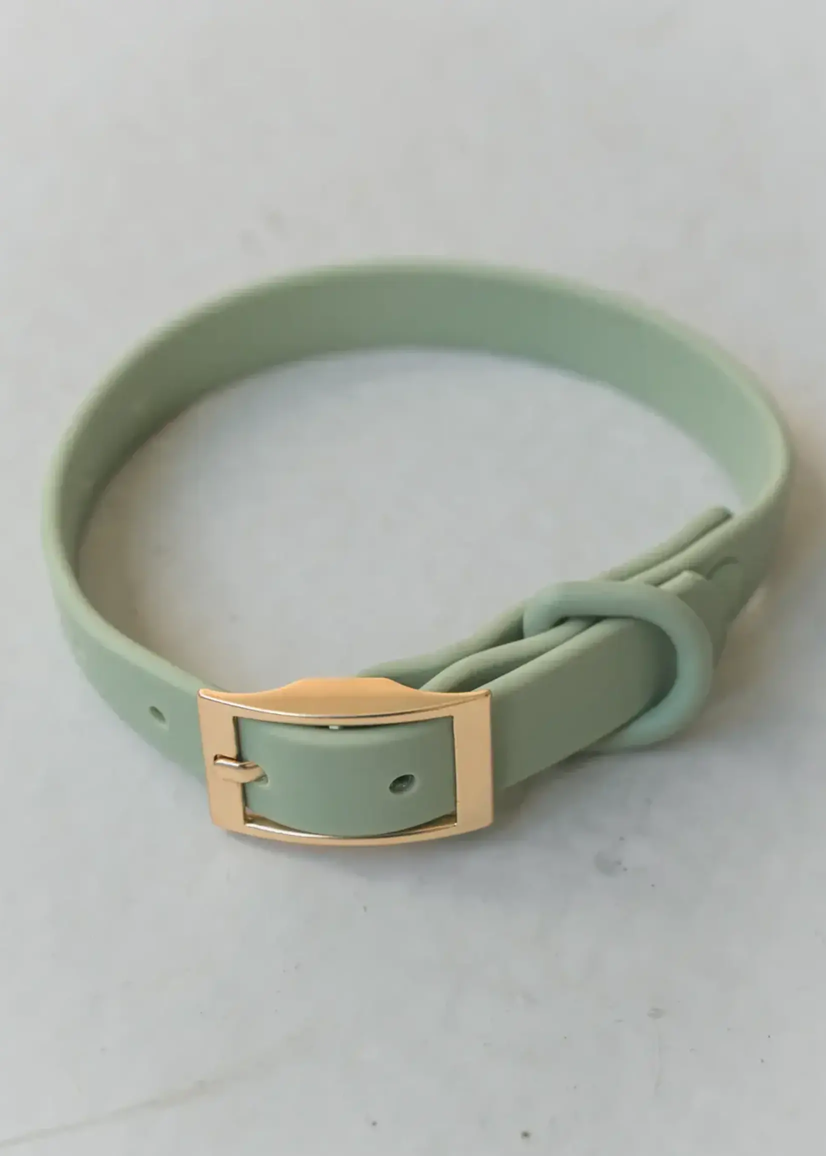 DexyPaws Dexypaws Dog Waterproof Collar Sage Green Small 3/4x8-11"