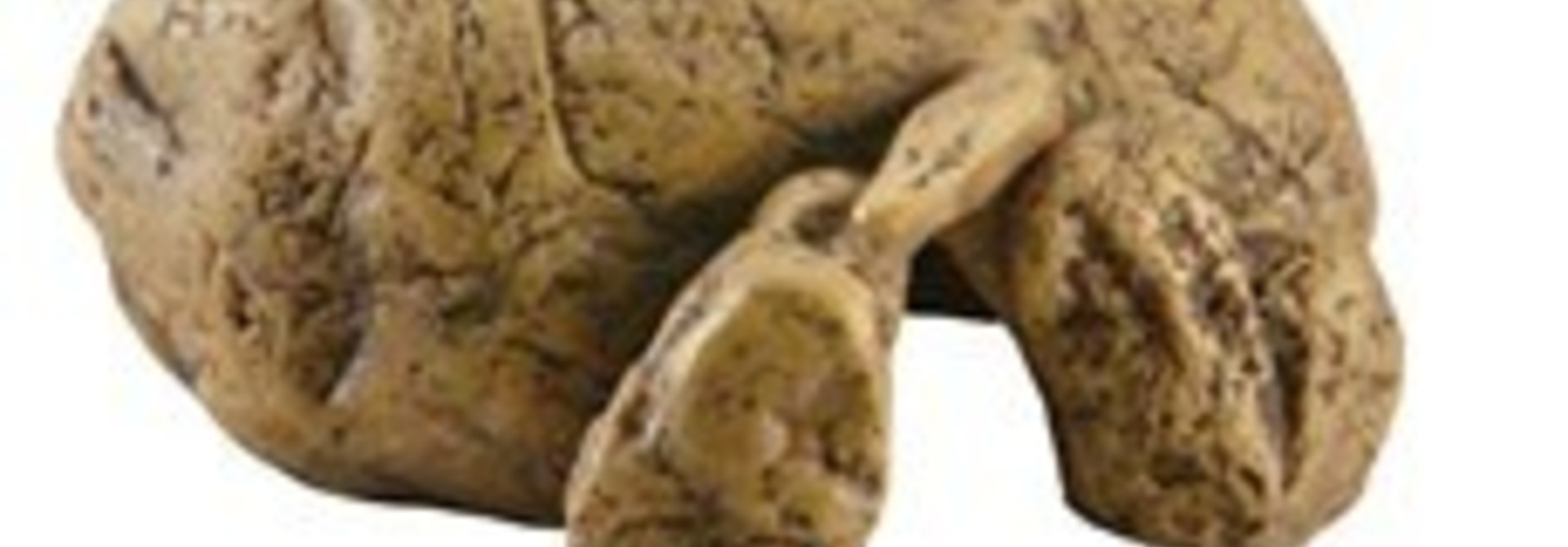 Exo Terra Reptile Cave - Small