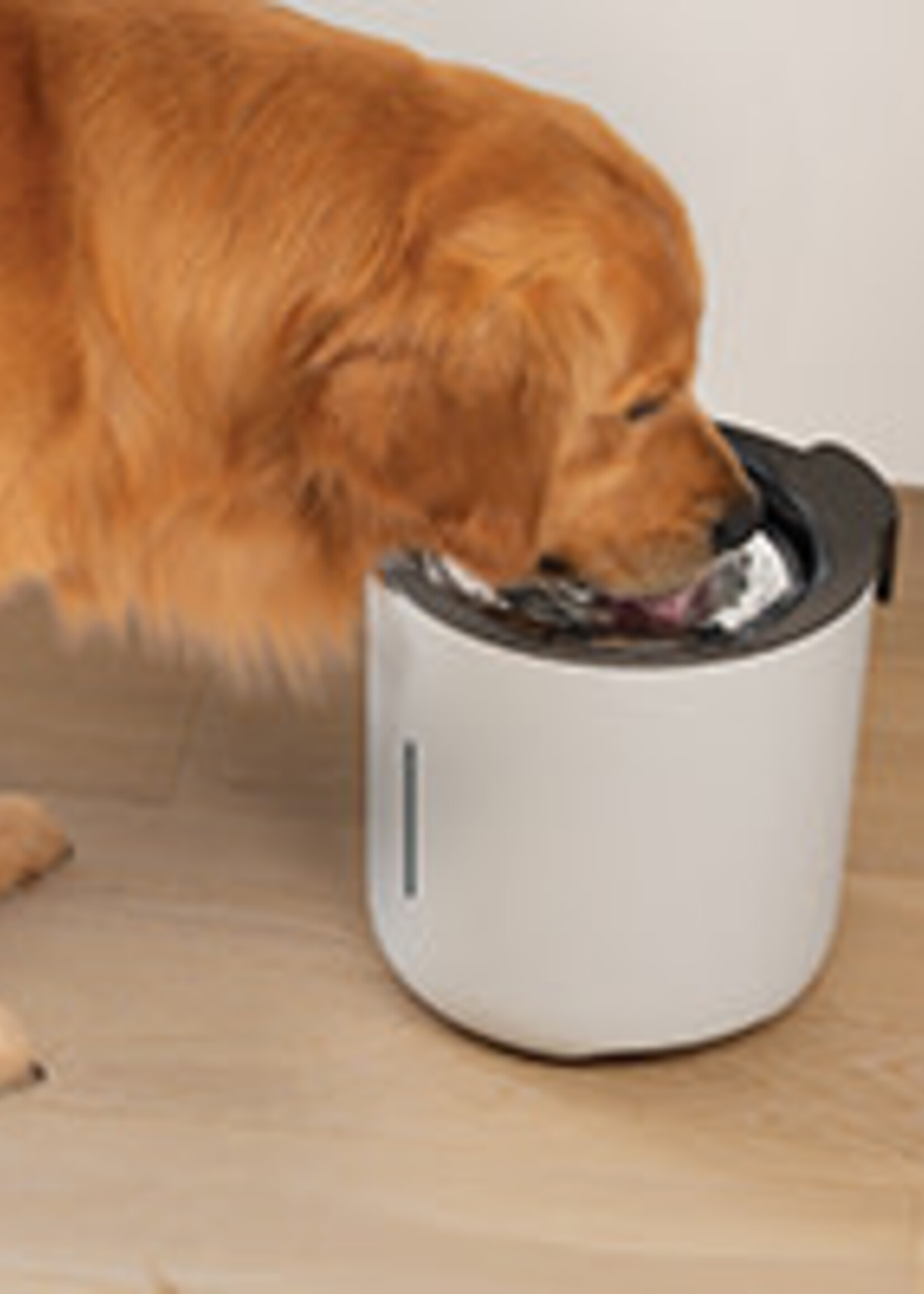 Zeus Zeus Oasis Fountain - Light Grey - 6L (200 fl.oz)