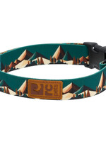RC Pets Eco Collar Medium 1"- Serene Slopes
