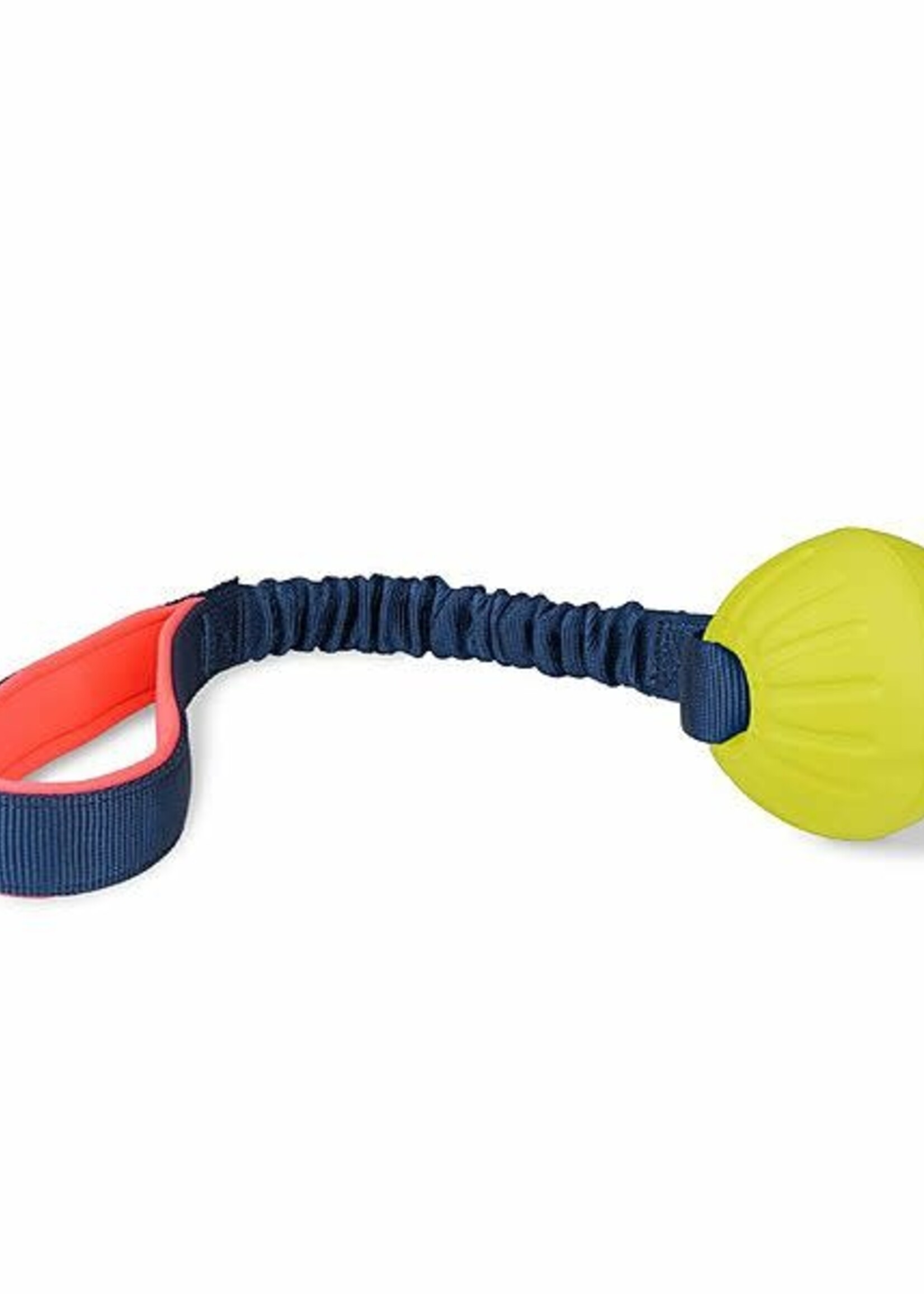 Coachi Play Tuggi Ball